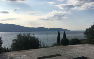 Rinforzo di travi a flessione e al taglio